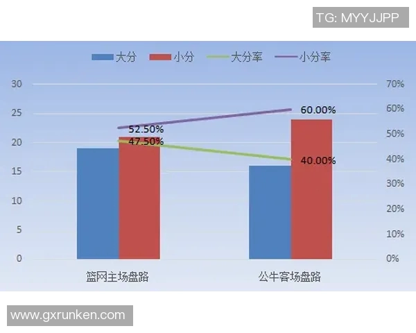 体育技术统计深度解读