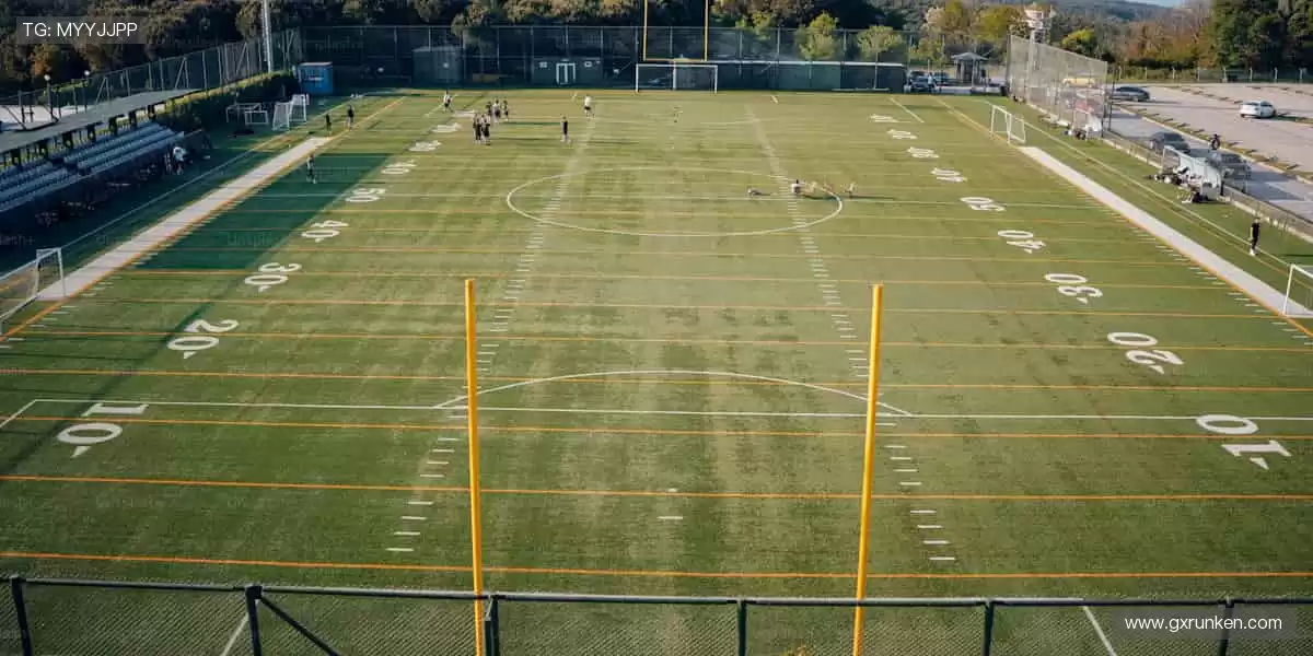 🎯 精准直播,互动不停!💬